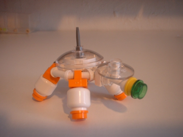 turtle_06.jpg