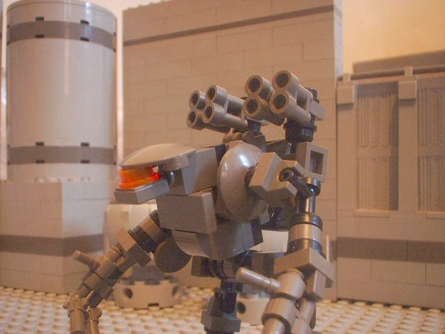 nova_21.jpg