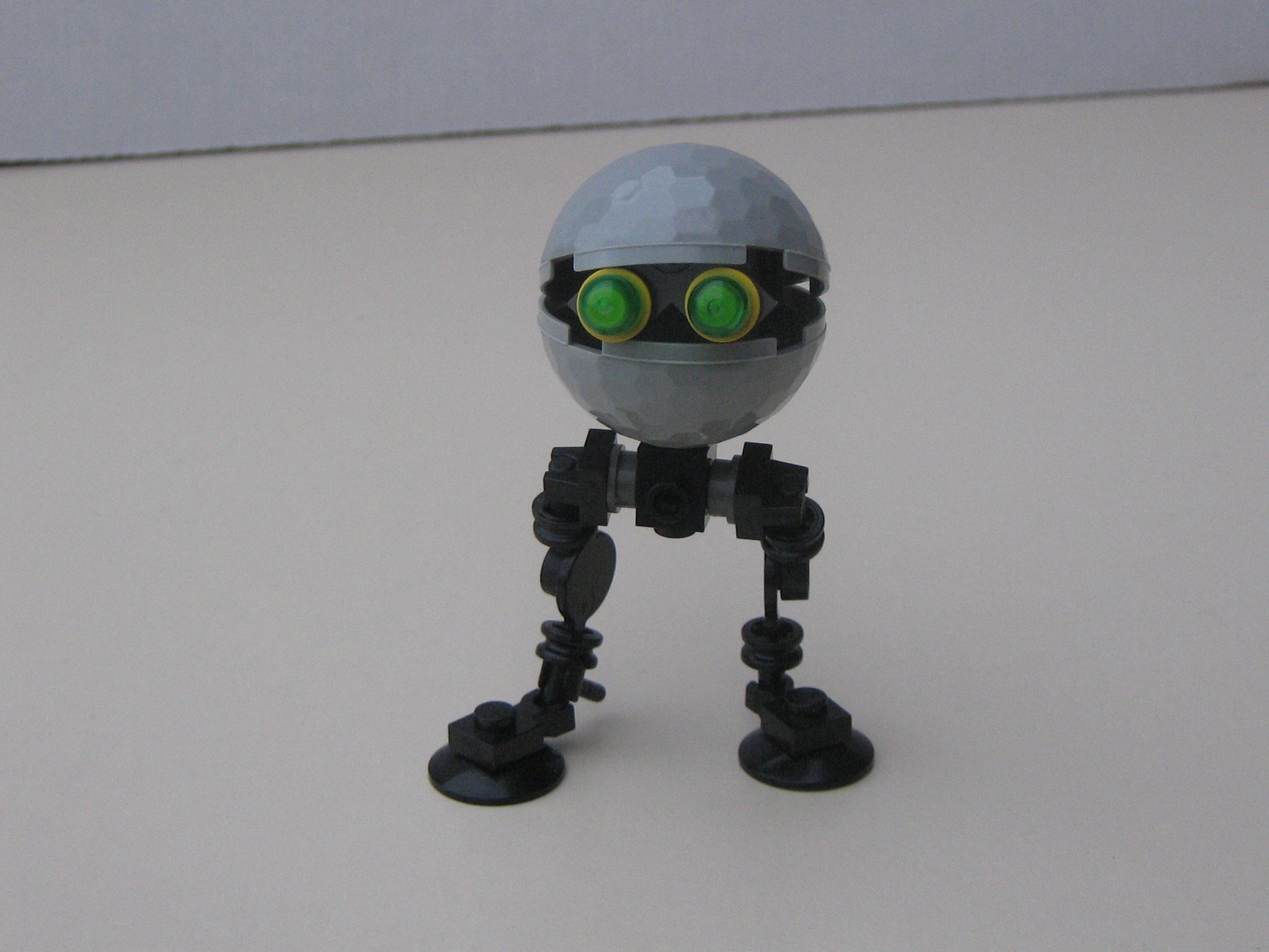 piccies_368.jpg
