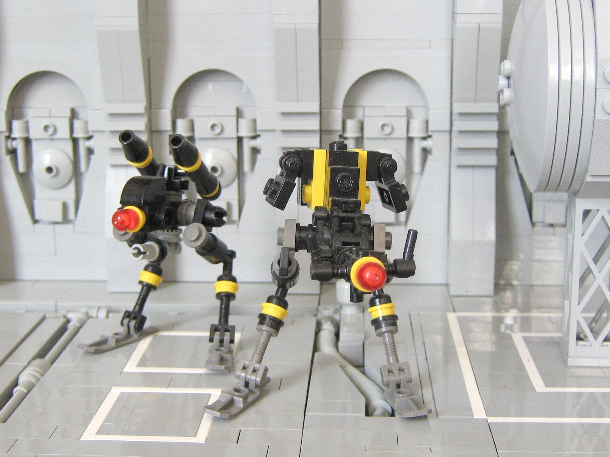 a_0736.jpg