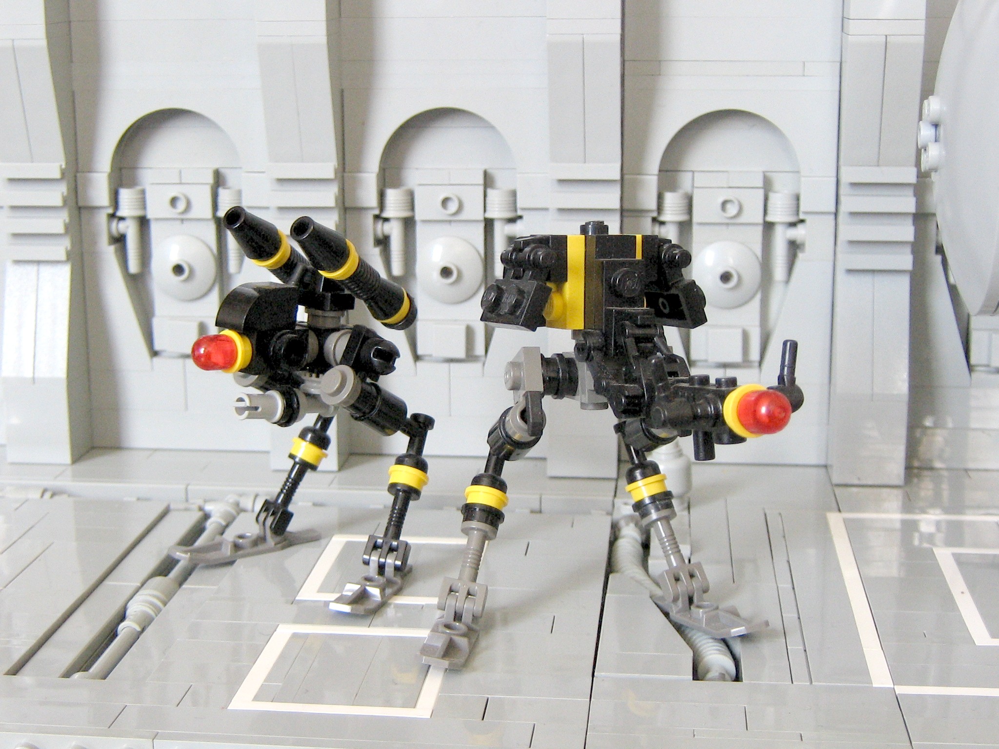 a_0737.jpg