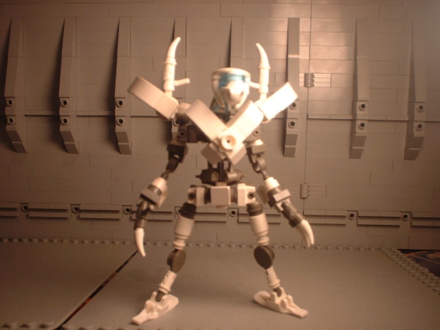 scf0014.jpg