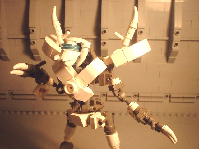 scf0017.jpg
