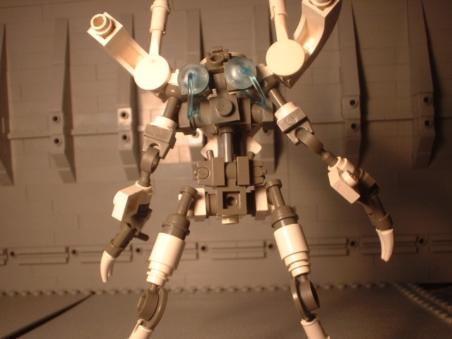 scf0042.jpg