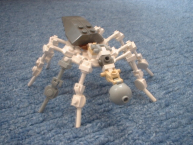 spider01.jpg