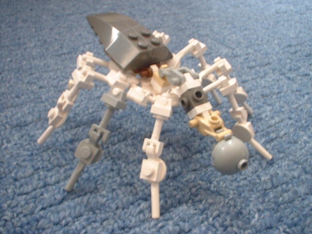 spider02.jpg