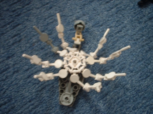 spider03.jpg