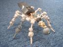 spider02.jpg