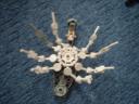 spider03.jpg