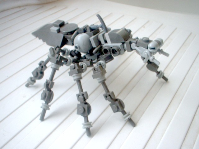 arach11.jpg