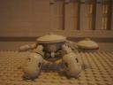 turtle_ag.jpg