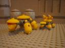 turtles_37.jpg