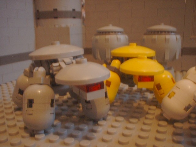 turtles_28.jpg