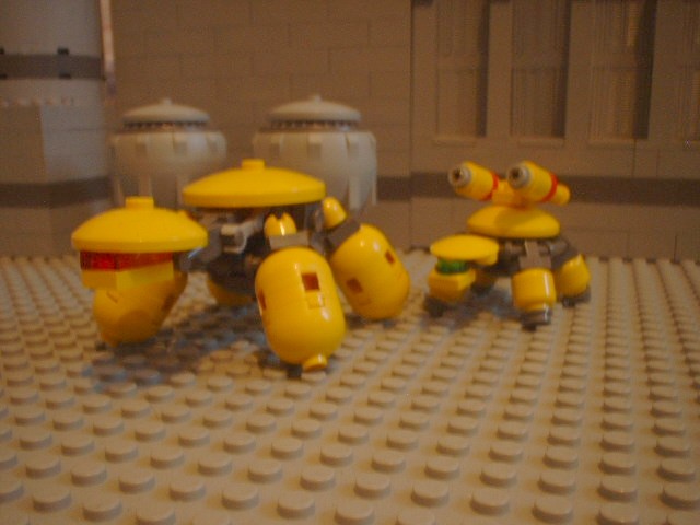 turtles_37.jpg