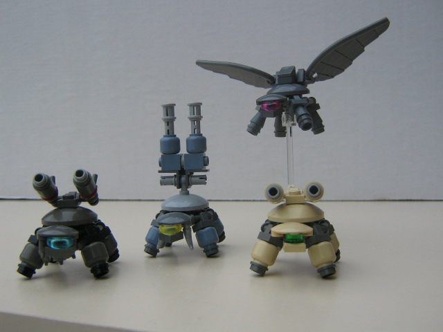 piccies_363.jpg