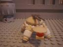 turtle_76.jpg