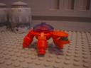 turtle_78.jpg