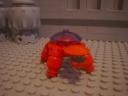turtle_79.jpg