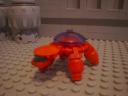 turtle_80.jpg