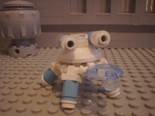 turtle_72.jpg