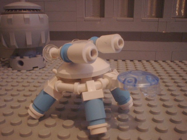 turtle_73.jpg