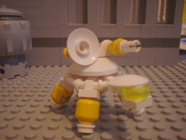 turtle_74.jpg