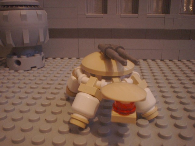 turtle_76.jpg