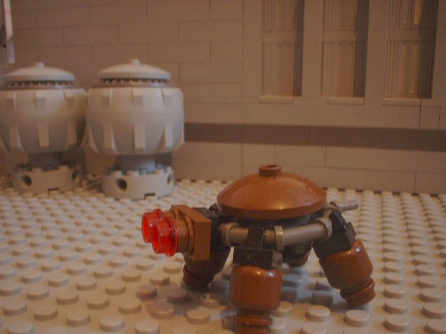 turtle_82.jpg