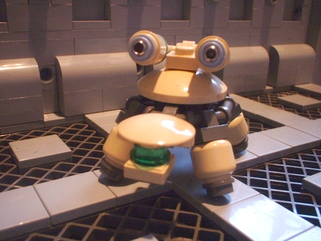 new_turtle_00.jpg