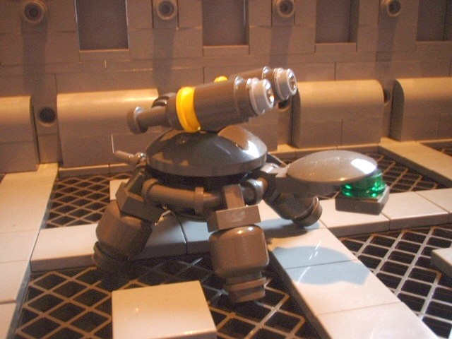 new_turtle_05.jpg