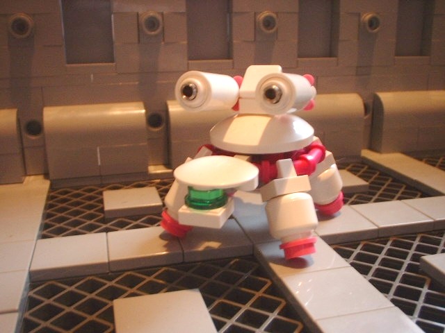 new_turtle_06.jpg