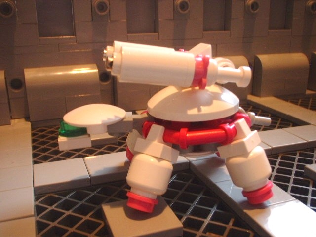 new_turtle_07.jpg