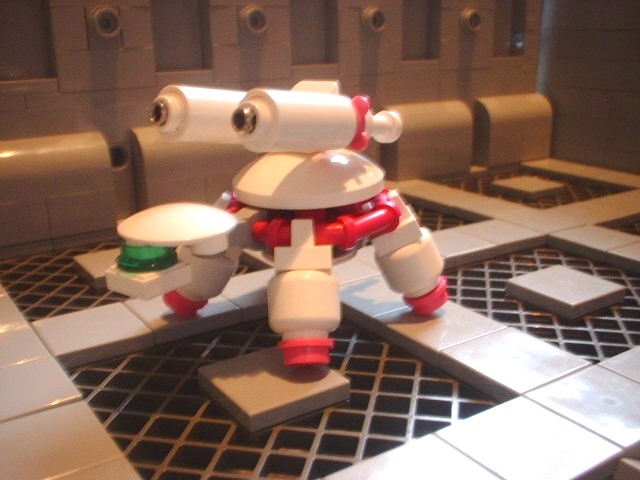 new_turtle_08.jpg