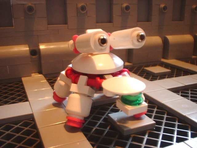 new_turtle_09.jpg