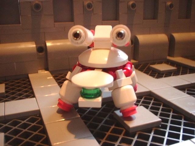 new_turtle_10.jpg
