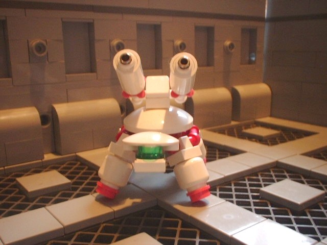 new_turtle_11.jpg
