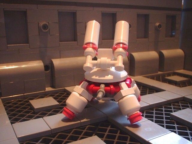 new_turtle_14.jpg