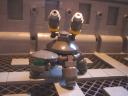 new_turtle_04.jpg