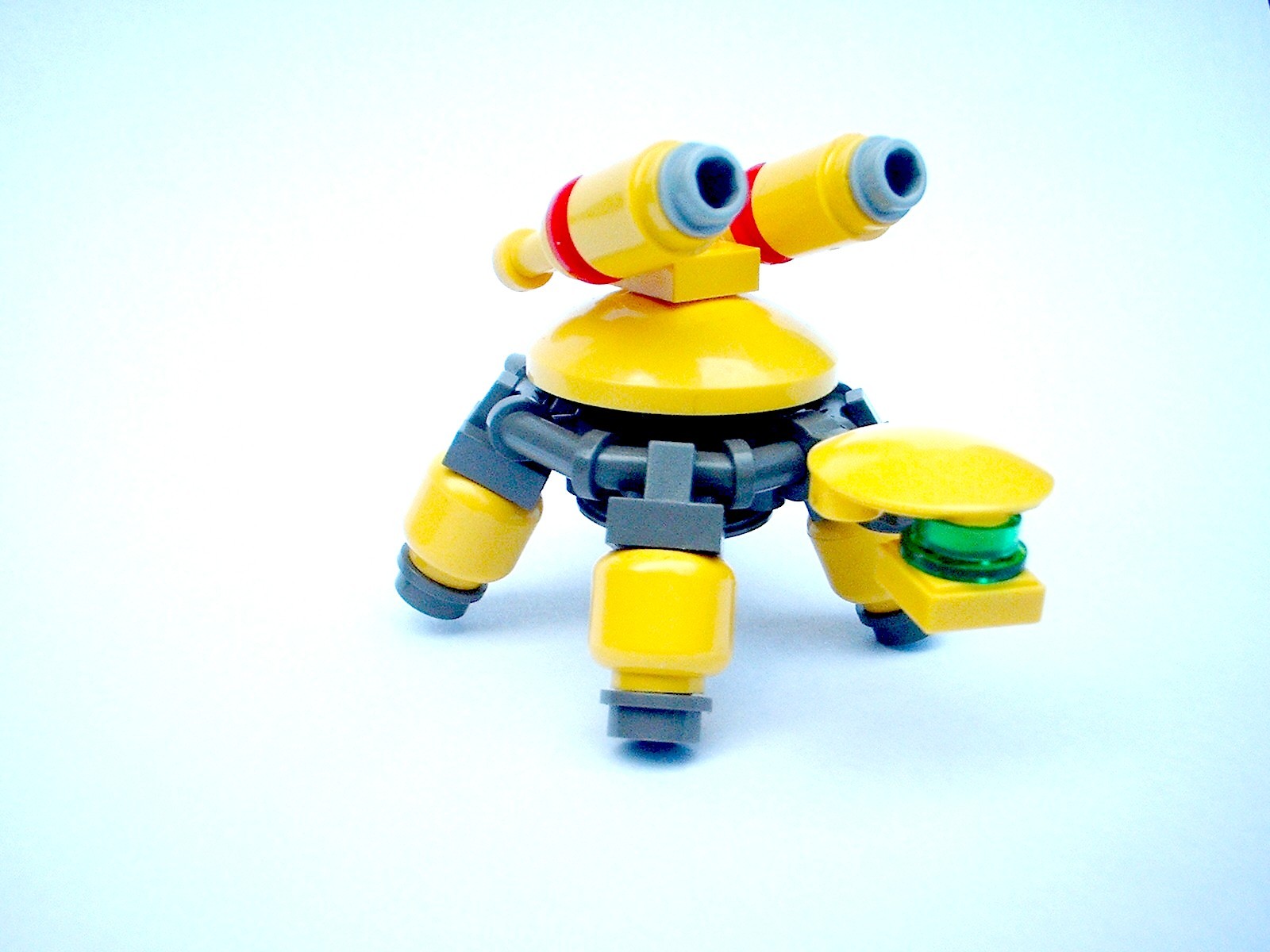 ccturtles001.jpg