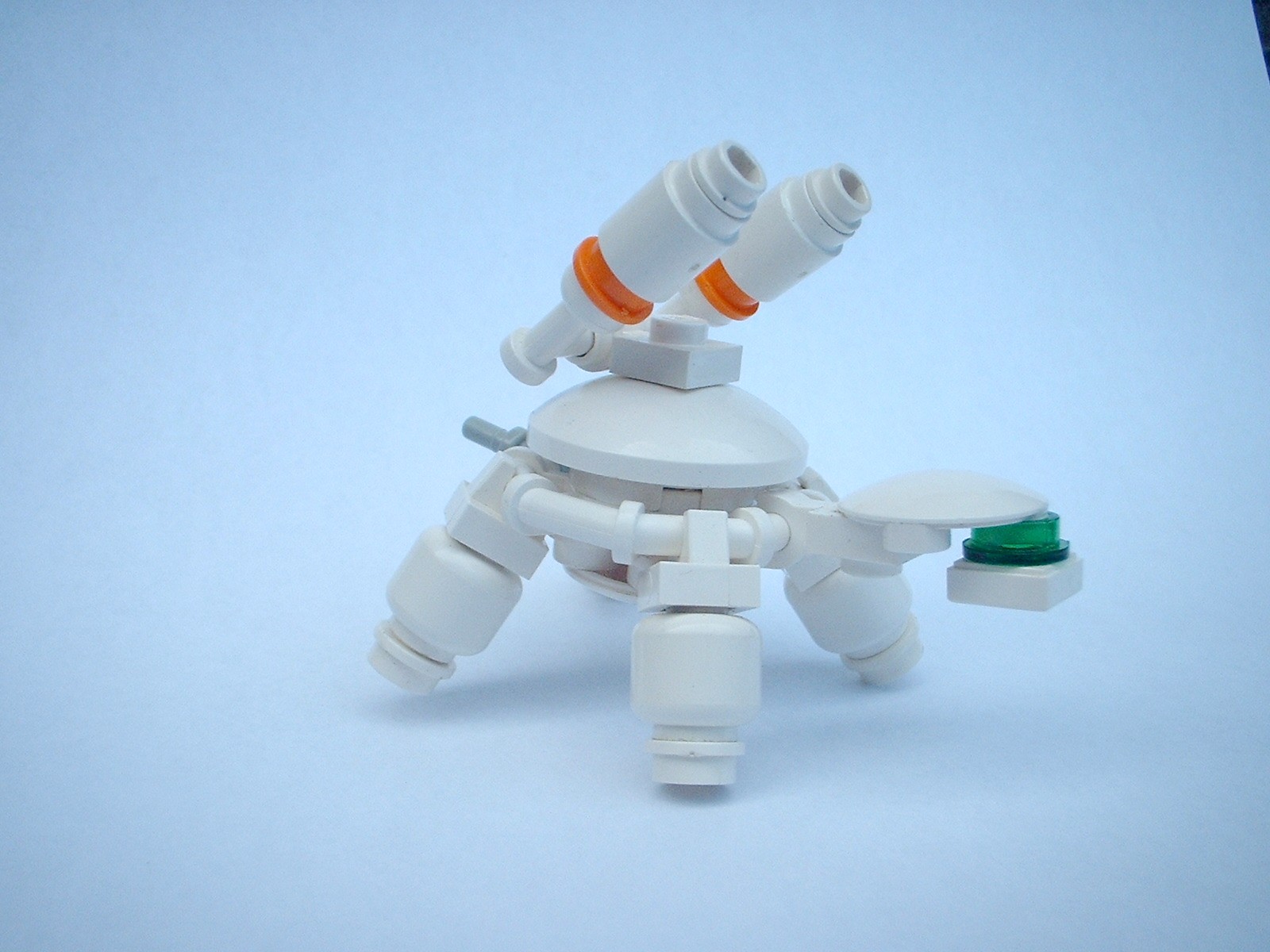 ccturtles002.jpg