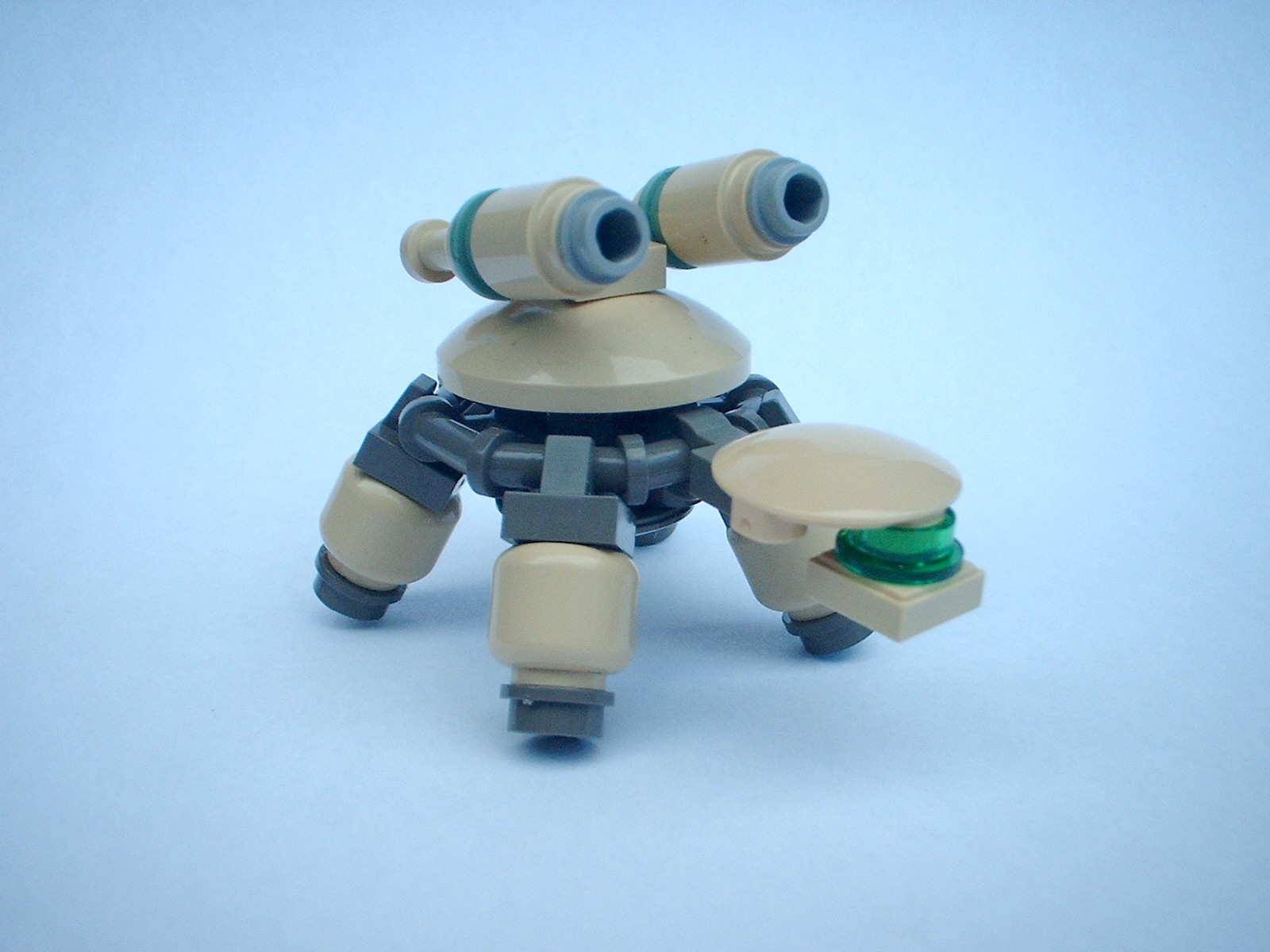 ccturtles004.jpg