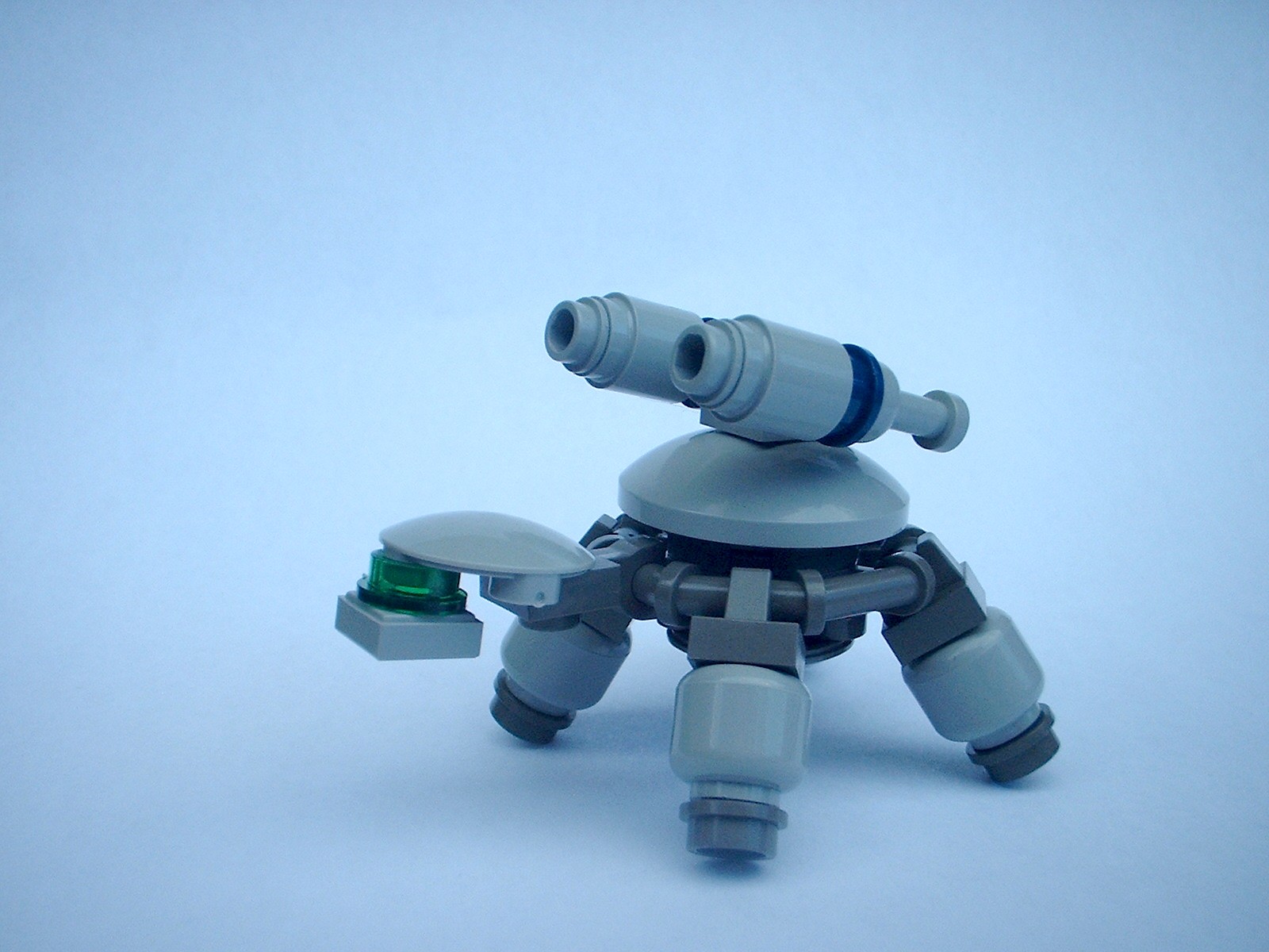 ccturtles009.jpg