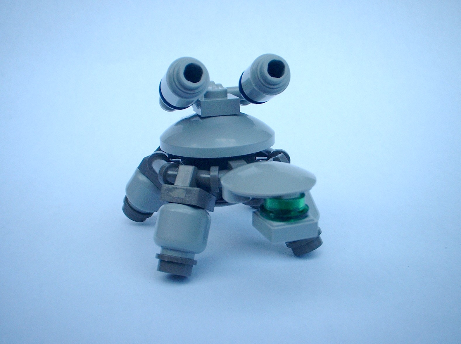 ccturtles010.jpg