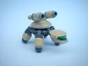 ccturtles004.jpg