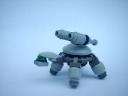 ccturtles009.jpg