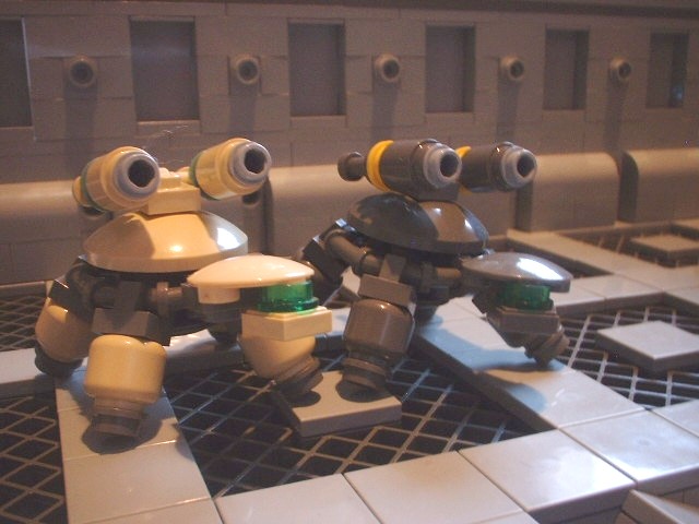 new_turtle_015.jpg