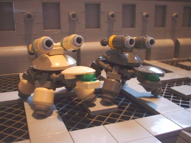 new_turtle_016.jpg