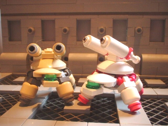 new_turtle_018.jpg