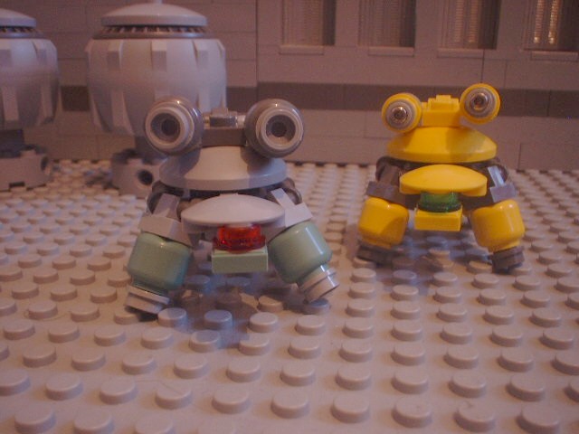 turtles_35.jpg