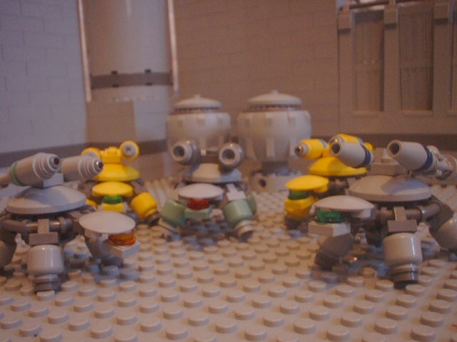 turtles_36.jpg